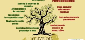 10 propiedades del aceite de oliva
