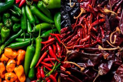 6 tipos de chiles mexicanos para incluir en tus recetas