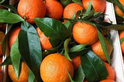 beneficios de las hojas de naranjo aprende a prepararlas en te