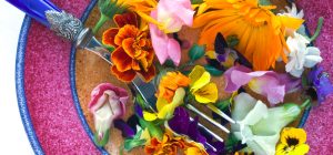 flores comestibles mexicanas que aportan sabor y colorido a la cocina
