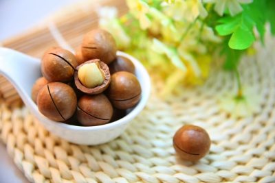 macadamia la nuez que te ayuda a combatir el colesterol